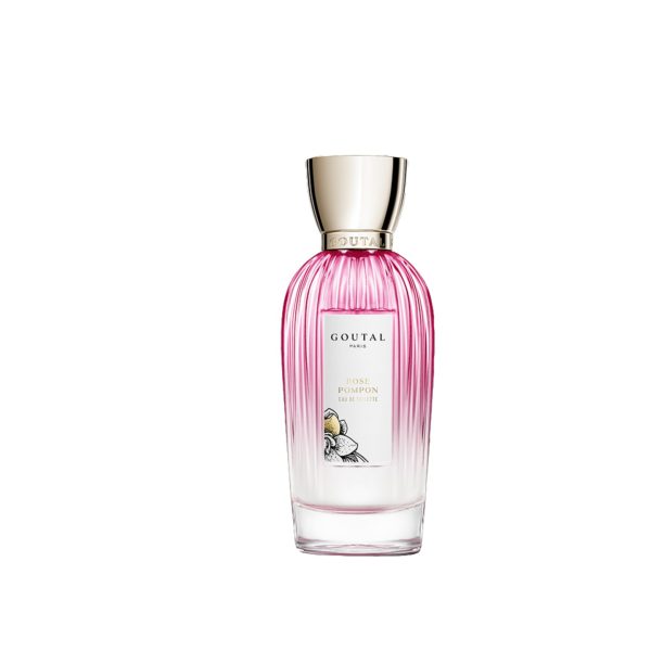 Rose Pompon Édition Fleur