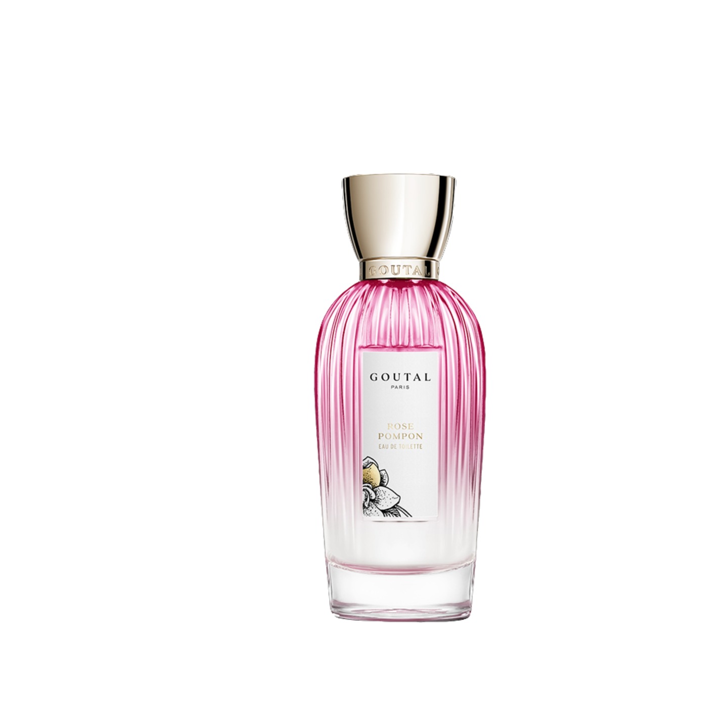 Rose Pompon Édition Fleur