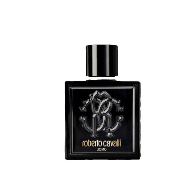Uomo Roberto Cavalli