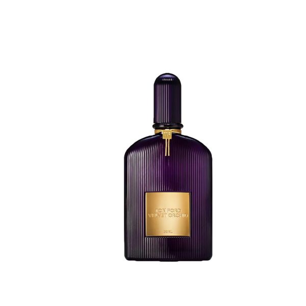 Velvet Orchid