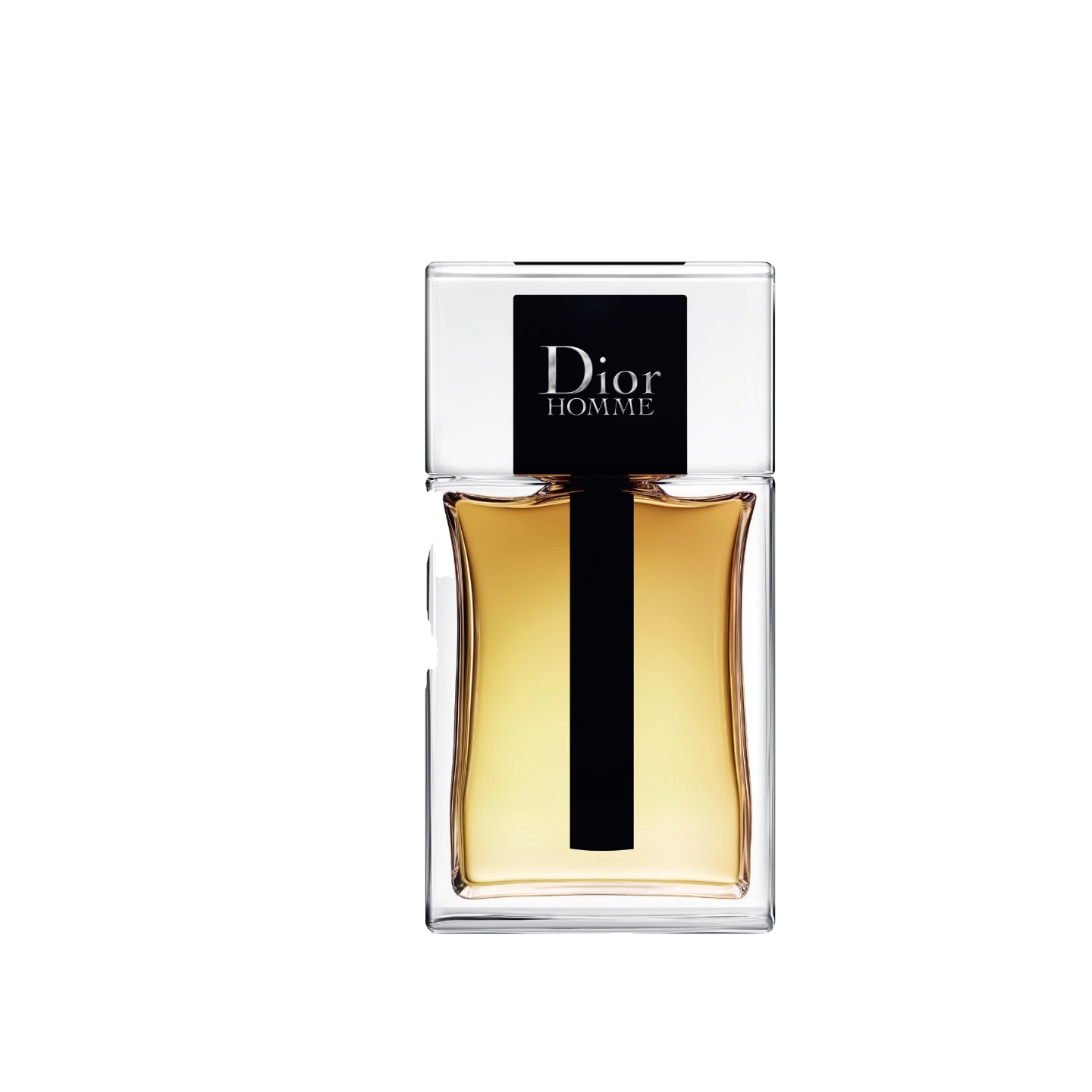 Dior Homme
